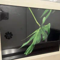 تابلو پازلی سه تایی|تابلو، نقاشی، عکس|مشهد, امیریه|دیوار