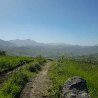 راهنمای میخوام دوستان