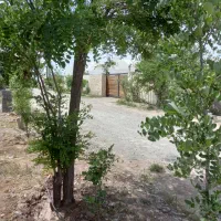 ۵۰۰۰ متر زمین چهاردیواری سنددار دارای مجوز گلخانه|فروش دفتر صنعتی، کشاورزی، تجاری|نظرآباد, رسالت|دیوار