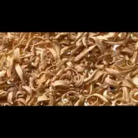 بهار خشک شده