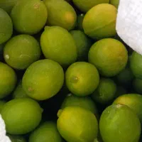 لیمو ترش ایسونم