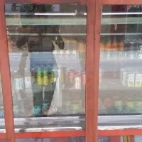 فروش یخچال ویترینی فروشگاهی سالم و درجه یک|یخچال و فریزر|دهدشت, |دیوار