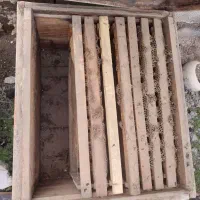 کندو|لوازم جانبی حیوانات|کرمانشاه, |دیوار