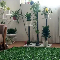 پایه گل (استند)