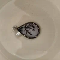 پلاک شجر اصلی|جواهرات|میبد, |دیوار