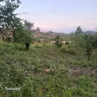 زمین-روستای-داخل-طرح-هادی