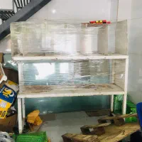 استند بساط سبزی