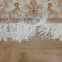 فرش دستباف|فرش|رشت, پارک شهر|دیوار