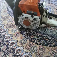 رویا گردان|خدمات باغبانی و درختکاری|میناب, |دیوار