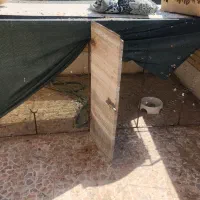 قفس کفتر