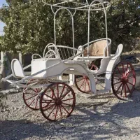 فروش کالسکه،  تجهیزات  سوارکاری