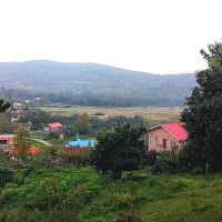 زمین مسکونی باغی ششصد متری توشی ویو ابدی