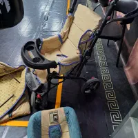 کالسکه و ننی