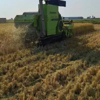 زوملاین گلد 2020|خودرو سنگین|آکند, |دیوار