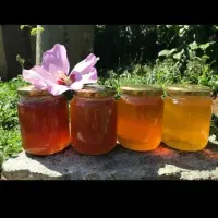 صددرصد طبیعی