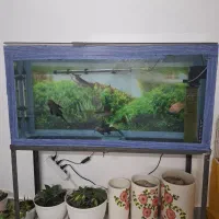 آکواریم می‌خوام بفروشم