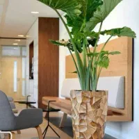 پخش عمده درختچه گل|گل مصنوعی|کرمان, |دیوار