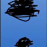 پول رایگان رایگان