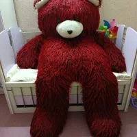 خرس بزرگ دومتری