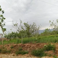 علف زن یونجه و باغ و غیره بادستگاه کره‌ای