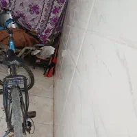 حسین|دوچرخه، اسکیت، اسکوتر|مشهد, تبادکان|دیوار