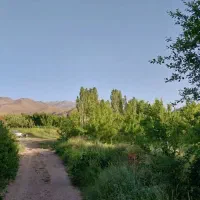 اجاره-باغ-ویلا