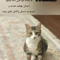 گمشده