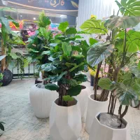 بزرگترین مرکز تخصصی درختچه و گل مصنوعی خراسان