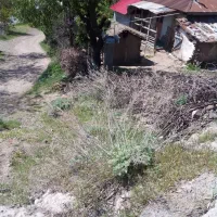 ویلا قدیمی ۶۰۰متری باامتیازات منطقه کوهپایه دیلمان|فروش خانه و ویلا|رشت, بلوار گیلان|دیوار