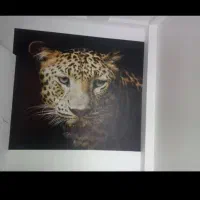 نصب کاغذ دیواری|خدمات پیشه و مهارت|رفسنجان, |دیوار