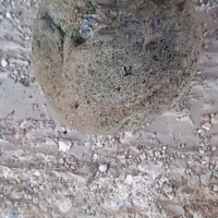 فروش تعدادی شهاب سنگ|کلکسیون اشیاء عتیقه|خوی, |دیوار