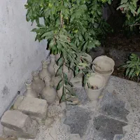 حراج وسایل مورد نیاز....|حراج|شیراز, امام حسین|دیوار