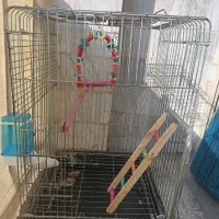 قفس|لوازم جانبی حیوانات|فردیس, فردیس|دیوار