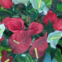 سبد گل مصنوعی نو  و باکس گل سایز یزرگ