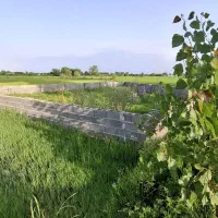 زمین کاسبی می خوای این زمین رو از دست نده|فروش زمین و ملک کلنگی|رشت, بازار|دیوار