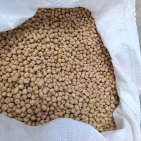 نخود قیمت ۱۴۰