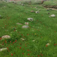کارگر