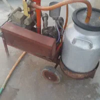 شیر دوش درحد