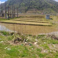 فروش-زمین-کشاورزی-با-قابلیت-صنعتی-و-تجاری