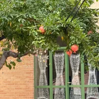 اجاره-برای-دفتر-کار-یا-کارگاه-هنری