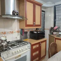 هود شومینه بیمکث موتور ژاپنی
