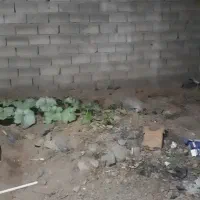 زمین فروشی|فروش زمین و ملک کلنگی|اسفندقه, |دیوار