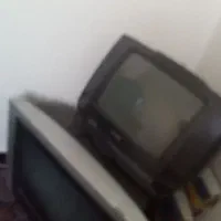 تلوزیون