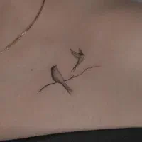 تتو حرفه ای با ظرافت تخفیف محدود