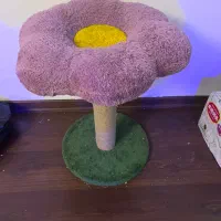 درخت گربه طرح گل