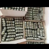 تخم و گوشت بلدرچین|خوردنی و آشامیدنی|چرداول, |دیوار