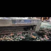پرینتر اصل|پرینتر، اسکنر، کپی، فکس|تهران, دهکده المپیک|دیوار