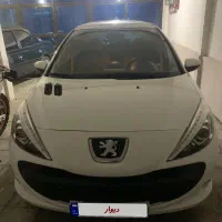 ۲۰۷ پاناروما درحد خشک
