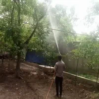 باغبانی درختکاری و سمپاشی