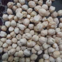 نخود زود پز دروشت|عمده‌فروشی|قیدار, |دیوار